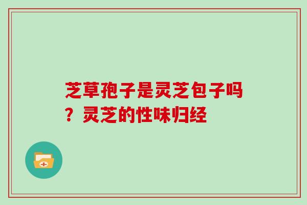 芝草孢子是灵芝包子吗?灵芝的性味归经 芝草孢子是灵芝包子吗?灵芝的性味归经