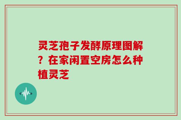 灵芝孢子发酵原理图解？在家闲置空房怎么种植灵芝