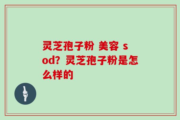 灵芝孢子粉 美容 sod?灵芝孢子粉是怎么样的 灵芝孢子粉 美容 sod?灵芝孢子粉是怎么样的