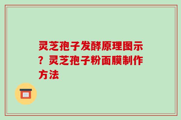 灵芝孢子发酵原理图示?灵芝孢子粉面膜制作方法 灵芝孢子发酵原理图示?灵芝孢子粉面膜制作方法