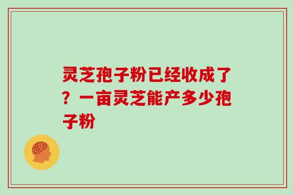 灵芝孢子粉已经收成了?一亩灵芝能产多少孢子粉 灵芝孢子粉已经收成了?一亩灵芝能产多少孢子粉