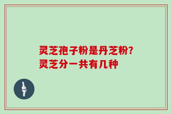 灵芝孢子粉是丹芝粉?灵芝分一共有几种 灵芝孢子粉是丹芝粉?灵芝分一共有几种