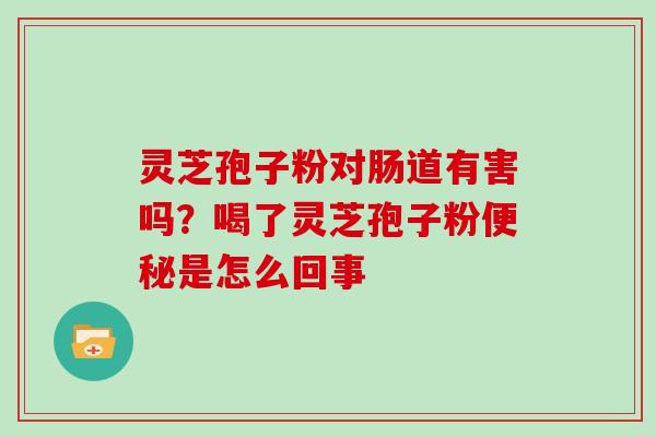 灵芝孢子粉对肠道有害吗？喝了灵芝孢子粉是怎么回事