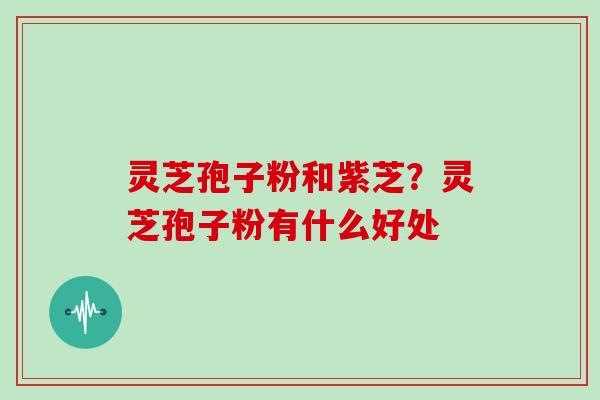 灵芝孢子粉和紫芝?灵芝孢子粉有什么好处 灵芝孢子粉和紫芝?灵芝孢子粉有什么好处