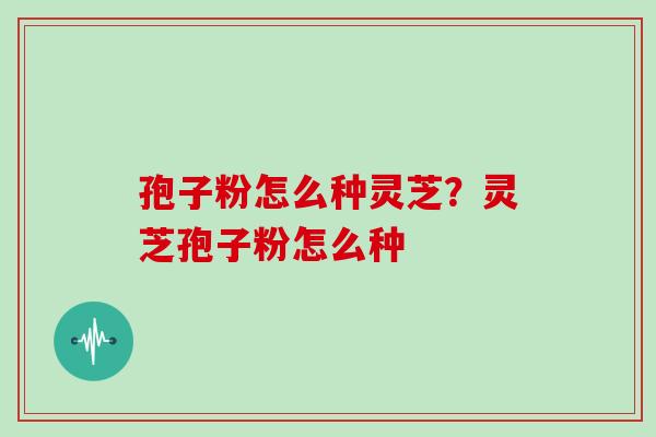 孢子粉怎么种灵芝？灵芝孢子粉怎么种