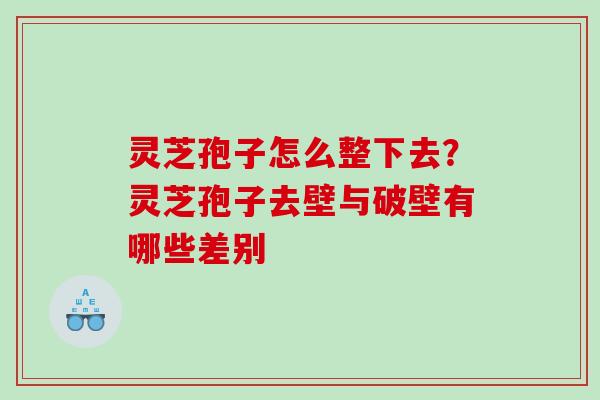 灵芝孢子怎么整下去?灵芝孢子去壁与破壁有哪些差别 灵芝孢子怎么整下去?灵芝孢子去壁与破壁有哪些差别