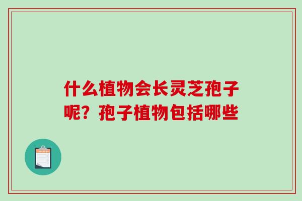 什么植物会长灵芝孢子呢?孢子植物包括哪些 什么植物会长灵芝孢子呢?孢子植物包括哪些