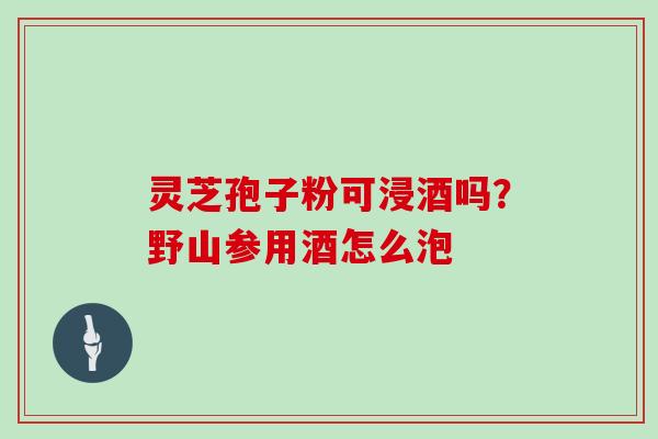 灵芝孢子粉可浸酒吗?野山参用酒怎么泡 灵芝孢子粉可浸酒吗?野山参用酒怎么泡