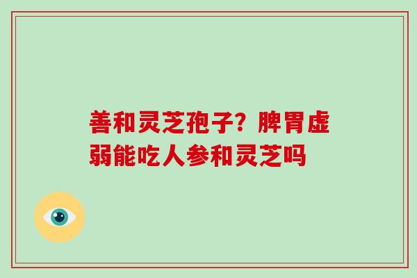 善和灵芝孢子?脾胃虚弱能吃人参和灵芝吗 善和灵芝孢子?脾胃虚弱能吃人参和灵芝吗