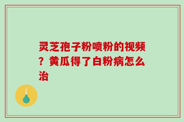灵芝孢子粉喷粉的视频?黄瓜得了白粉怎么 灵芝孢子粉喷粉的视频?黄瓜得了白粉怎么