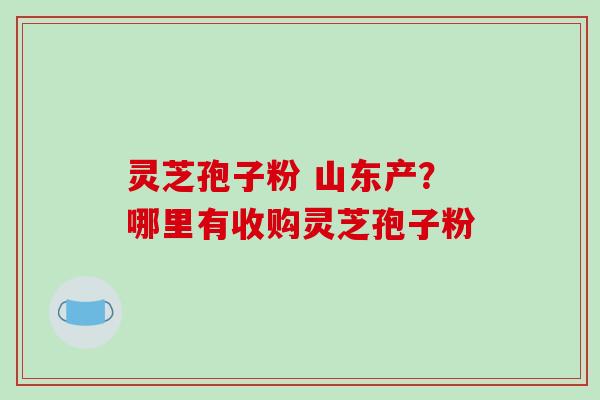灵芝孢子粉 山东产？哪里有收购灵芝孢子粉
