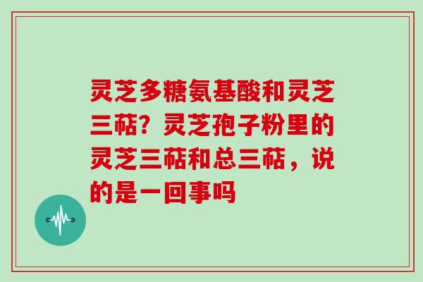 灵芝多糖氨基酸和灵芝三萜?灵芝孢子粉里的灵芝三萜和总三萜,说的是一回事吗 灵芝多糖氨基酸和灵芝三萜?灵芝孢子粉里的灵芝三萜和总三萜,说的是一回事吗