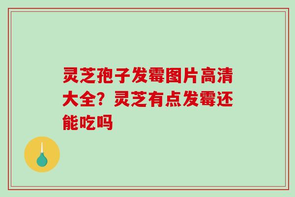 灵芝孢子发霉图片高清大全?灵芝有点发霉还能吃吗 灵芝孢子发霉图片高清大全?灵芝有点发霉还能吃吗