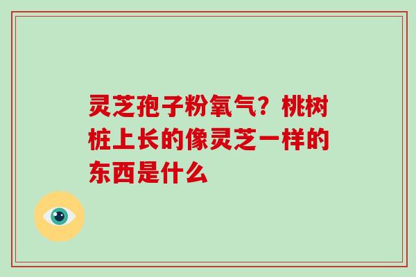 灵芝孢子粉氧气?桃树桩上长的像灵芝一样的东西是什么 灵芝孢子粉氧气?桃树桩上长的像灵芝一样的东西是什么