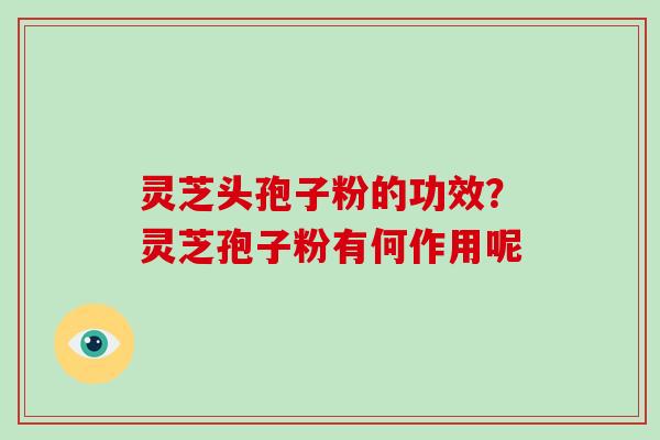 灵芝头孢子粉的功效？灵芝孢子粉有何作用呢