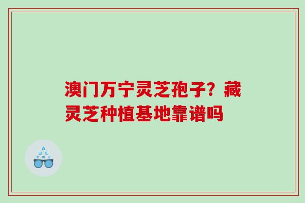 澳门万宁灵芝孢子?藏灵芝种植基地靠谱吗 澳门万宁灵芝孢子?藏灵芝种植基地靠谱吗