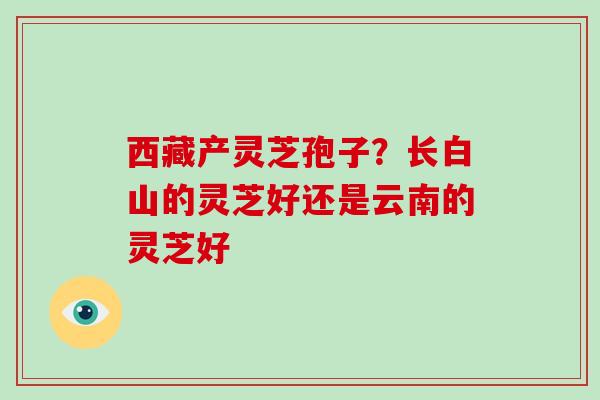 西藏产灵芝孢子?长白山的灵芝好还是云南的灵芝好 西藏产灵芝孢子?长白山的灵芝好还是云南的灵芝好