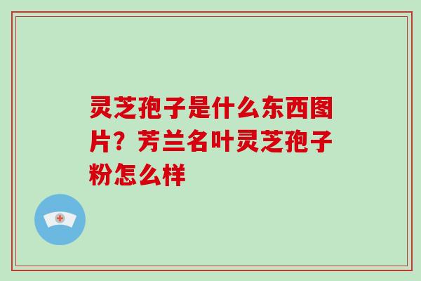 灵芝孢子是什么东西图片?芳兰名叶灵芝孢子粉怎么样 灵芝孢子是什么东西图片?芳兰名叶灵芝孢子粉怎么样