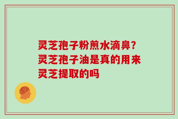 灵芝孢子粉煎水滴鼻?灵芝孢子油是真的用来灵芝提取的吗 灵芝孢子粉煎水滴鼻?灵芝孢子油是真的用来灵芝提取的吗