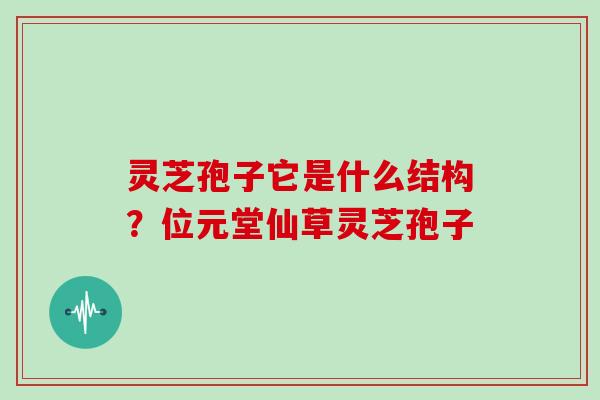 灵芝孢子它是什么结构?位元堂仙草灵芝孢子 灵芝孢子它是什么结构?位元堂仙草灵芝孢子