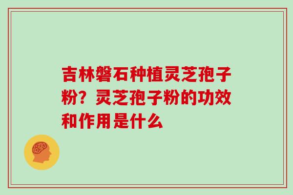 吉林磐石种植灵芝孢子粉?灵芝孢子粉的功效和作用是什么 吉林磐石种植灵芝孢子粉?灵芝孢子粉的功效和作用是什么