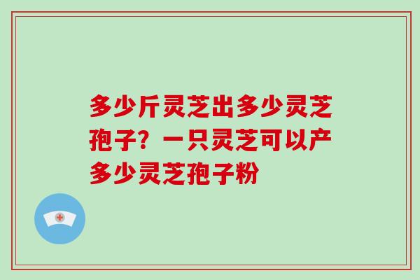 多少斤灵芝出多少灵芝孢子?一只灵芝可以产多少灵芝孢子粉 多少斤灵芝出多少灵芝孢子?一只灵芝可以产多少灵芝孢子粉