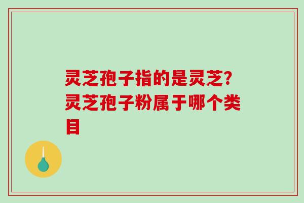 灵芝孢子指的是灵芝？灵芝孢子粉属于哪个类目