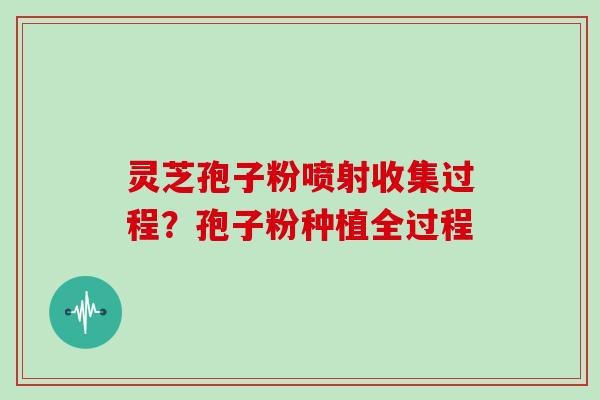灵芝孢子粉喷射收集过程?孢子粉种植全过程 灵芝孢子粉喷射收集过程?孢子粉种植全过程