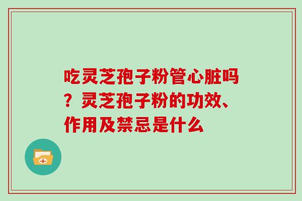 吃灵芝孢子粉管吗?灵芝孢子粉的功效、作用及禁忌是什么 吃灵芝孢子粉管吗?灵芝孢子粉的功效、作用及禁忌是什么