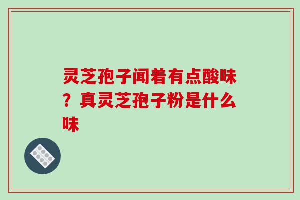 灵芝孢子闻着有点酸味?真灵芝孢子粉是什么味 灵芝孢子闻着有点酸味?真灵芝孢子粉是什么味