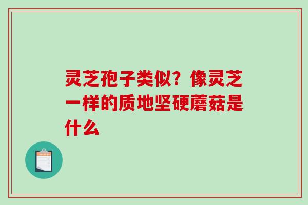 灵芝孢子类似?像灵芝一样的质地坚硬蘑菇是什么 灵芝孢子类似?像灵芝一样的质地坚硬蘑菇是什么