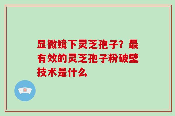 显微镜下灵芝孢子?有效的灵芝孢子粉破壁技术是什么 显微镜下灵芝孢子?有效的灵芝孢子粉破壁技术是什么