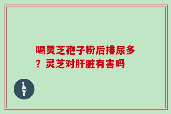 喝灵芝孢子粉后排尿多?灵芝对有害吗 喝灵芝孢子粉后排尿多?灵芝对有害吗