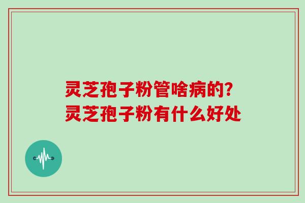 灵芝孢子粉管啥的?灵芝孢子粉有什么好处 灵芝孢子粉管啥的?灵芝孢子粉有什么好处
