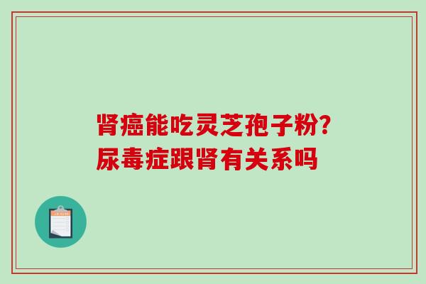 能吃灵芝孢子粉？尿毒症跟有关系吗