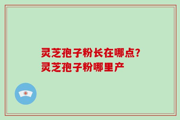 灵芝孢子粉长在哪点?灵芝孢子粉哪里产 灵芝孢子粉长在哪点?灵芝孢子粉哪里产