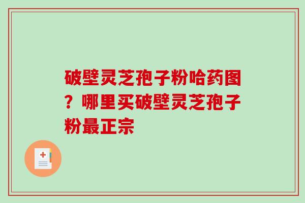 破壁灵芝孢子粉哈药图?哪里买破壁灵芝孢子粉正宗 破壁灵芝孢子粉哈药图?哪里买破壁灵芝孢子粉正宗