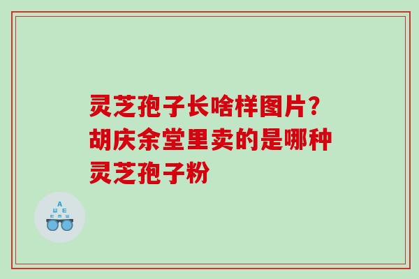 灵芝孢子长啥样图片？胡庆余堂里卖的是哪种灵芝孢子粉