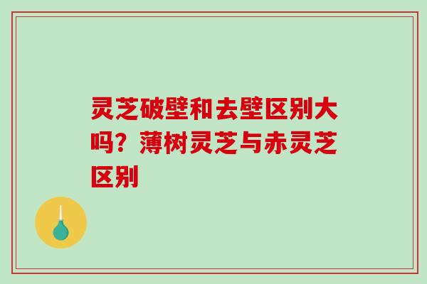 灵芝破壁和去壁区别大吗?薄树灵芝与赤灵芝区别 灵芝破壁和去壁区别大吗?薄树灵芝与赤灵芝区别