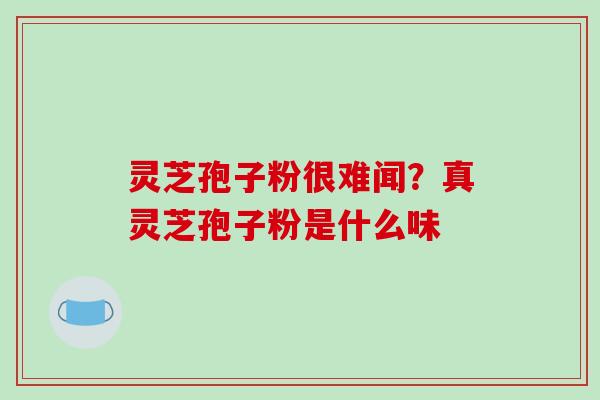 灵芝孢子粉很难闻?真灵芝孢子粉是什么味 灵芝孢子粉很难闻?真灵芝孢子粉是什么味