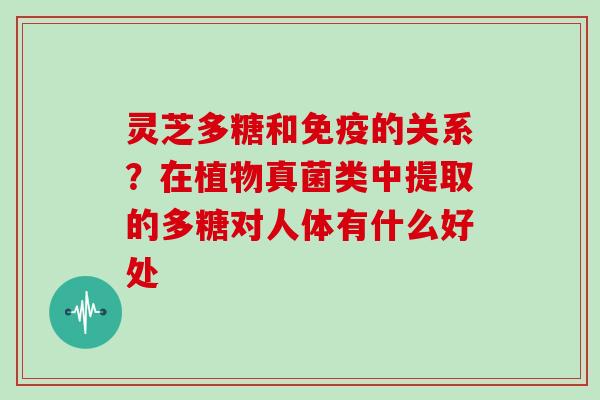 灵芝多糖和免疫的关系?在植物真菌类中提取的多糖对人体有什么好处 灵芝多糖和免疫的关系?在植物真菌类中提取的多糖对人体有什么好处