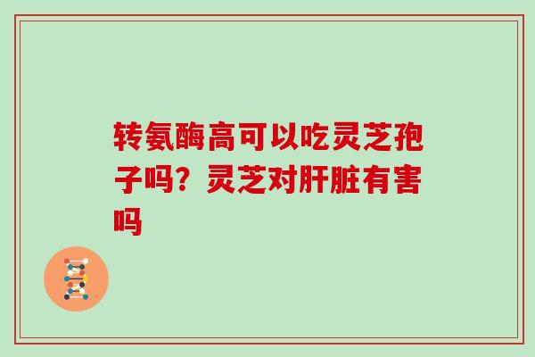 转氨酶高可以吃灵芝孢子吗?灵芝对有害吗 转氨酶高可以吃灵芝孢子吗?灵芝对有害吗