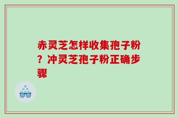 赤灵芝怎样收集孢子粉?冲灵芝孢子粉正确步骤 赤灵芝怎样收集孢子粉?冲灵芝孢子粉正确步骤