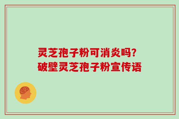 灵芝孢子粉可吗?破壁灵芝孢子粉宣传语 灵芝孢子粉可吗?破壁灵芝孢子粉宣传语