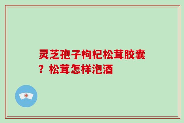 灵芝孢子枸杞松茸胶囊?松茸怎样泡酒 灵芝孢子枸杞松茸胶囊?松茸怎样泡酒