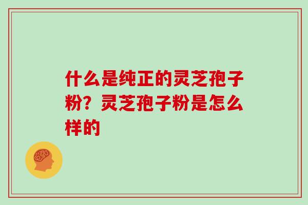 什么是纯正的灵芝孢子粉?灵芝孢子粉是怎么样的 什么是纯正的灵芝孢子粉?灵芝孢子粉是怎么样的
