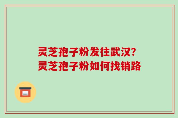 灵芝孢子粉发往武汉?灵芝孢子粉如何找销路 灵芝孢子粉发往武汉?灵芝孢子粉如何找销路