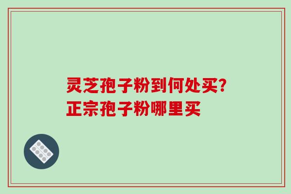 灵芝孢子粉到何处买？正宗孢子粉哪里买