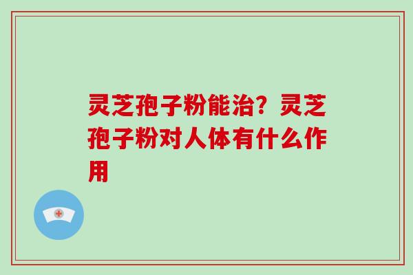 灵芝孢子粉能?灵芝孢子粉对人体有什么作用 灵芝孢子粉能?灵芝孢子粉对人体有什么作用