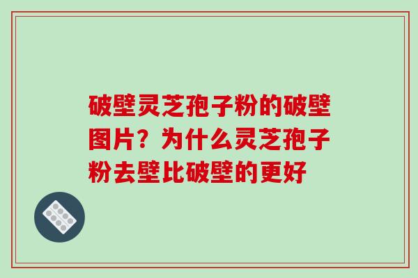破壁灵芝孢子粉的破壁图片?为什么灵芝孢子粉去壁比破壁的更好 破壁灵芝孢子粉的破壁图片?为什么灵芝孢子粉去壁比破壁的更好